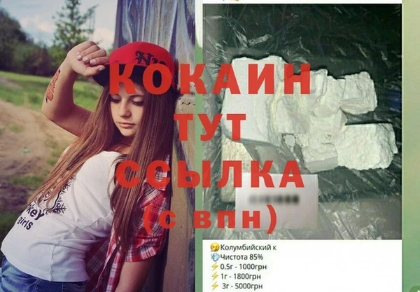 СК Алексин