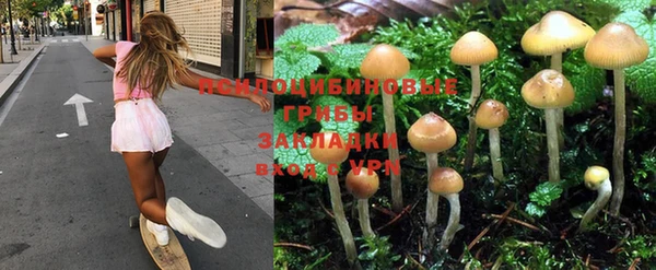 spice Абдулино