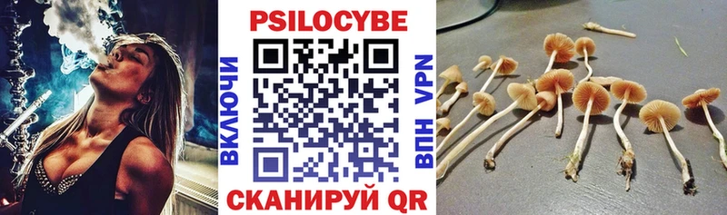 blacksprut ссылки  Котлас  Галлюциногенные грибы мицелий 